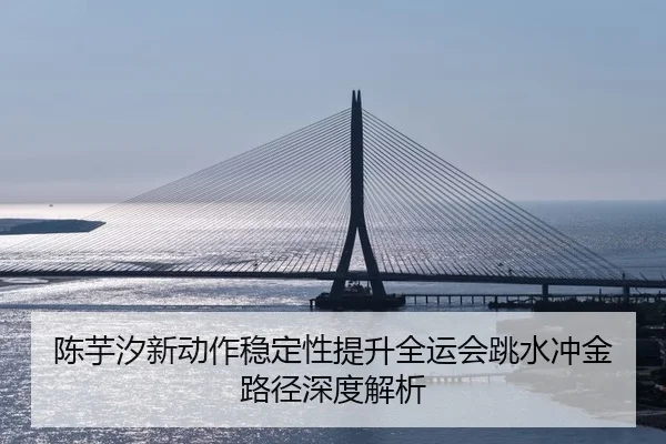 陈芋汐新动作稳定性提升全运会跳水冲金路径深度解析
